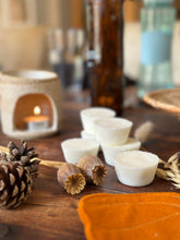 Load image into Gallery viewer, 6 handmade soy wax melts in pumpkin pie fragrance.
